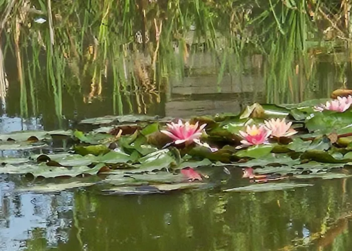 Zen Style * Fromelles