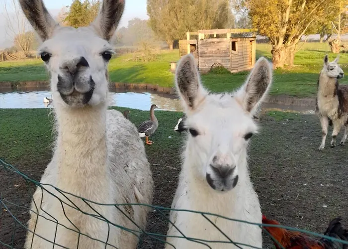 Appartement Zen Style *